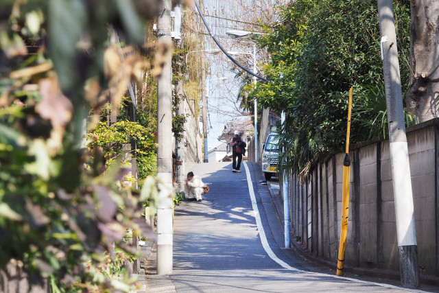 坂の街・谷中のフォトスポット6選！ 美しい坂道を写真におさめよう